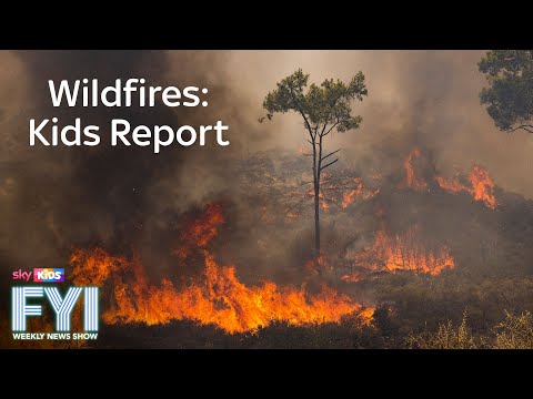 FYI: Weekly News Show – Wildfires: Kids Report
