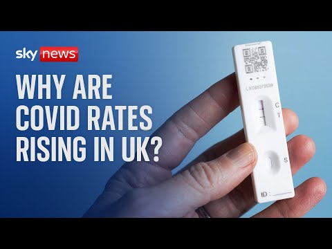 COVID: Data shows a 30% rise in daily cases since the start of July