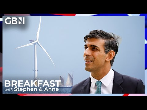 Rishi Sunak praised for ‘encouraging’ new energy boosting plan for Britain