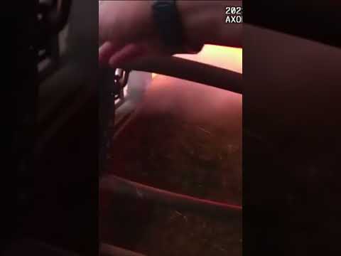 Wisconsin police officer races against time to free cows trapped in barn fire