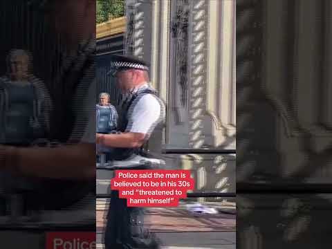 Man handcuffs himself to Buckingham Palace gates