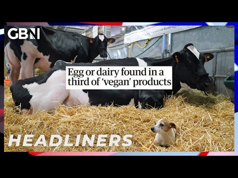 Egg or dairy found in a third of ‘vegan’ products 🗞 Headliners