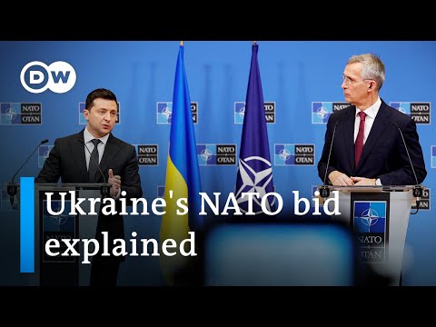 Zelenskyy’s NATO bid tour: What does Ukraine really want? | DW News