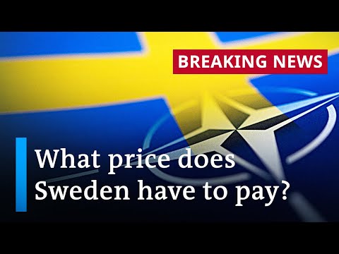 Erdogan drops opposition to Sweden’s NATO bid | DW News