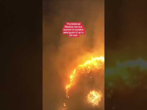 Wildfires in Hawaii, fanned by strong winds from Hurricane Dora