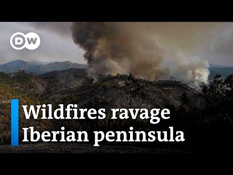 Why this years extreme weather conditions have scientists in shock | DW News