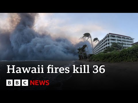 At least 36 killed as wildfires tear through Maui island in Hawaii – BBC News