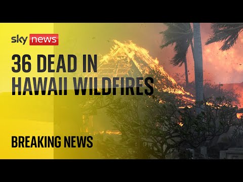 Hawaii wildfires: At least 36 people dead after large parts of town in Maui destroyed