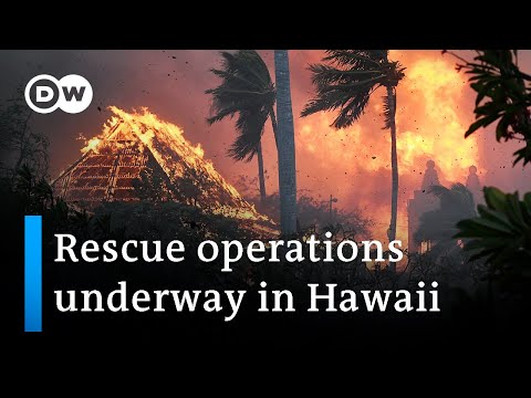 Hawaiian island Maui ravaged by wildfires | DW News