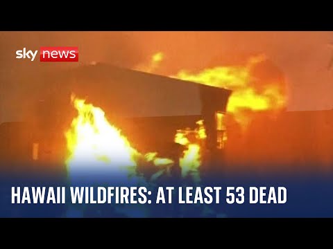 Hawaii wildfires: At least 53 dead as authorities warn deaths expected to rise