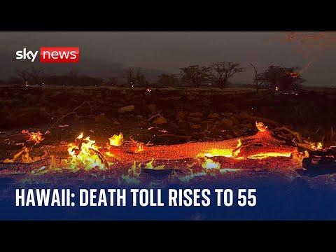 Hawaii wildfires: Death toll from Lahaina, Pulehu and Upcountry fires rises to 55