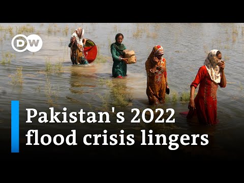 Is the international community doing too little too late? | DW News