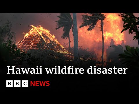 Hawaii deadly wildfires cause catastrophic damage – BBC News