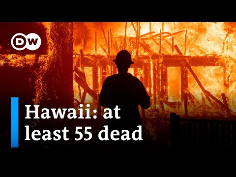 Why this fire turned into a major catastrophe | DW News