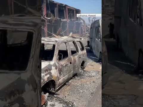 The heat of roads ‘melted sandals’ and burnt people’s feet, says man who escaped Hawaiian wildfires