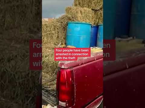 Hidden tunnel used to steal gasoline from pipeline