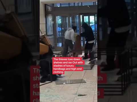 Dozens of looters ransack LA shopping centre