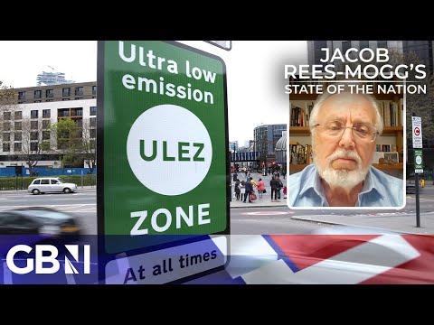 ‘Let’s have a ULEZ referendum!’ | Climate campaigner defends lower emissions charge expansion