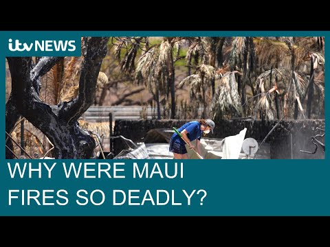 Maui wildfires: How did the wildfires begin and why were they so deadly? | ITV News