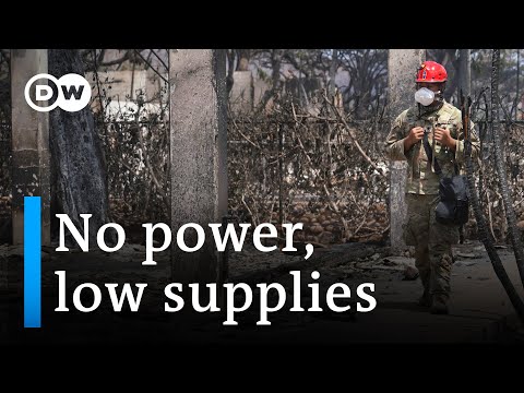 Hawaii power company draws criticism for ignoring warnings I DW News
