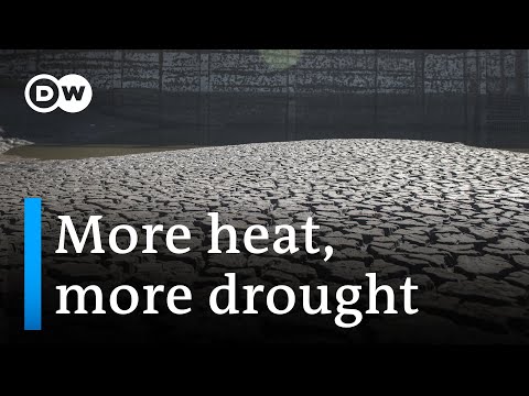 Report: One in four people globally face extreme water scarcity I DW News
