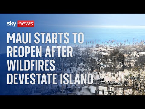 Watch live: The Hawaiian island of Maui recovers from deadly wildfires