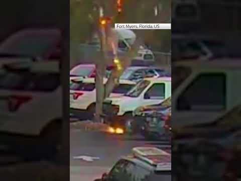 Lightning strikes a tree in a car park
