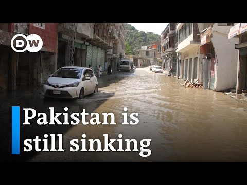 One year since the devastating floods: How’s the current situation in Pakistan? | DW News