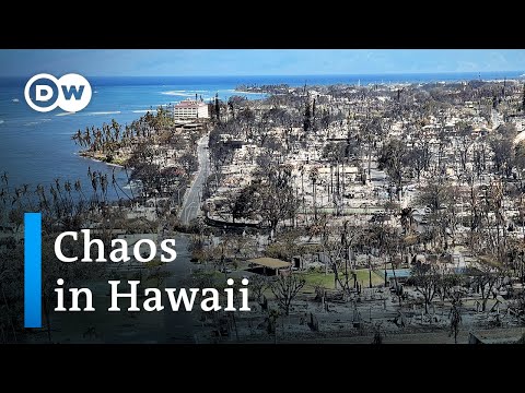 Hawaii officials rush to clean up toxic fire dust on Maui before it spreads | DW News