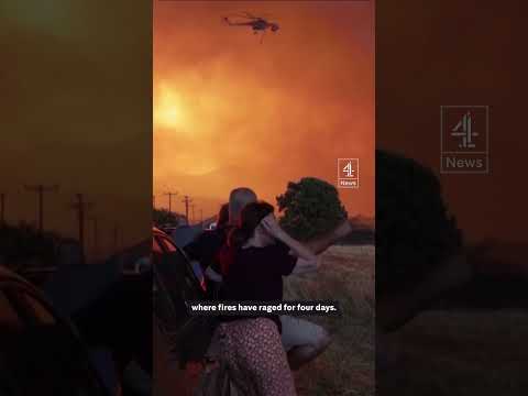 18 bodies found in Greek forest ravaged by wildfires