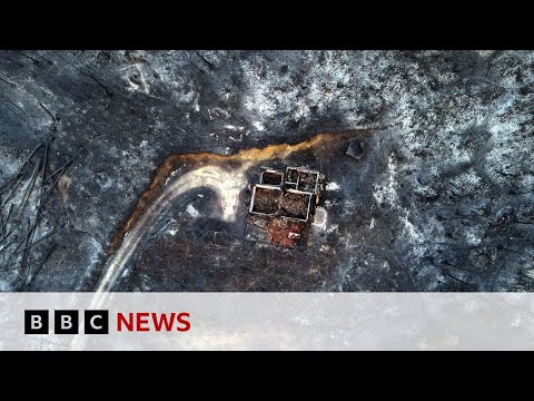 Eighteen bodies found in forest hit by Greece wildfires – BBC News