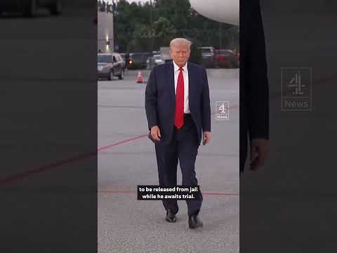 Donald Trump’s jail mugshot released #Donald #Trump #Mugshot #DonaldTrump #Arrest