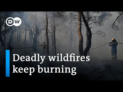 Largest wildfire in EU this year has burned 700 square kilometers | DW News