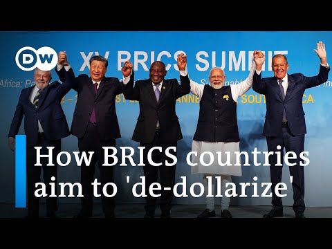 What an expanded BRICS means for Africa’s economy | DW News Africa