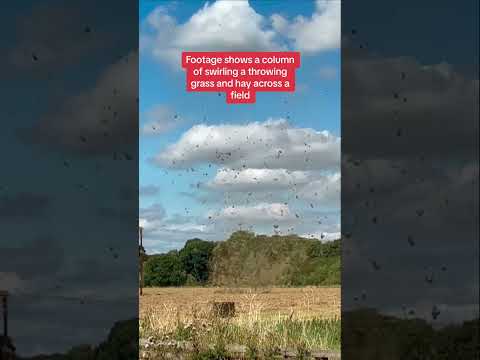 ‘Haynado’ spotted in Loughborough