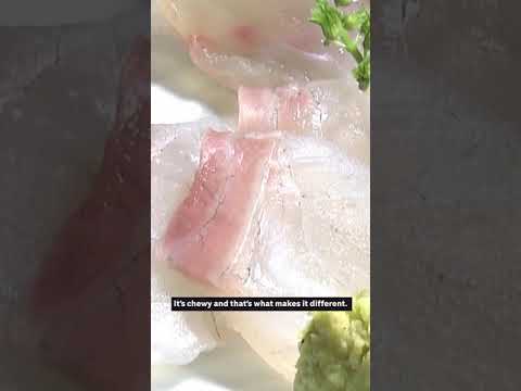 Japan Prime Minister eats Fukushima fish after radioactive wastewater row