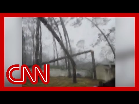 ‘Noooo!’: Woman captures moment tree fell on her home