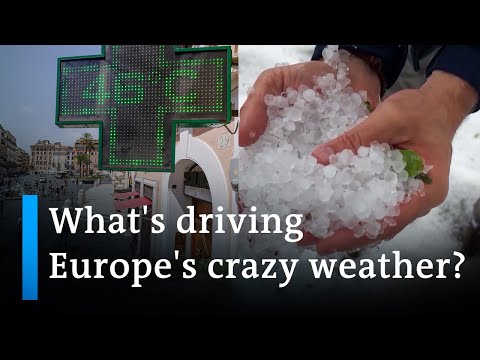 Is climate change causing wild weather? | DW News