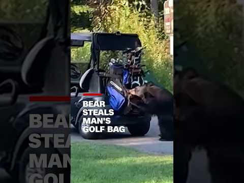 Bear steals man’s golf bag