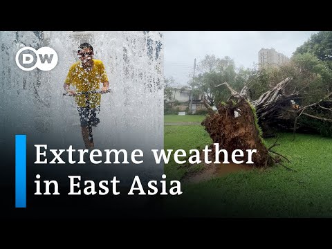 Heatwave in South Korea, typhoon in China | DW News