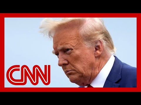 Donald Trump pleads not guilty to Jan. 6 charges