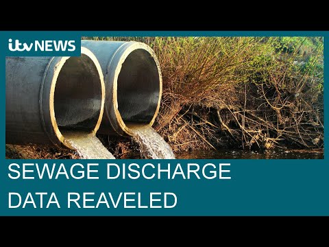 Sewage discharges topped 300,000 hours in England and Wales last year, data shows | ITV News
