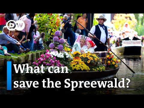 The uncertain future of Germany’s ‘Green Venice’ | Focus on Europe