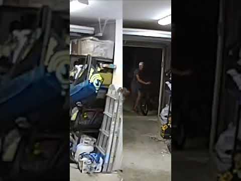 Burglar stops to play with dog
