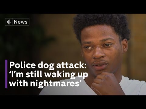 Met Police launch investigation into case of 19-year-old injured by police dog