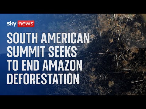 Watch live: South American presidents meeting to reverse Amazon deforestation