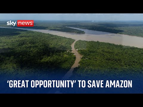 Brazil: ‘A great opportunity to save the Amazon’ – Climate Scientist