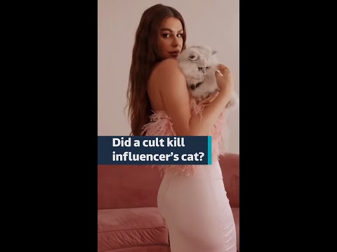 Did a cult kill this Italian influencer’s cat?