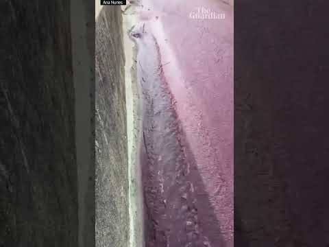Wine flows through streets of Portuguese village as distillery’s tanks burst