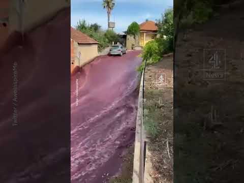 A Portuguese town has been flooded by red wine after tanks holding 2.2 million litres burst
